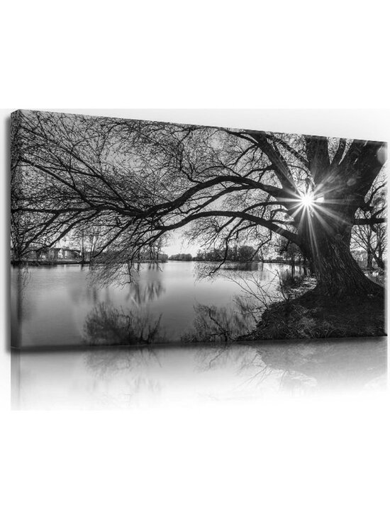 Other - Black and White Forest Wall Art - Sunrise Tree Canvas Print for Bedroom & Living